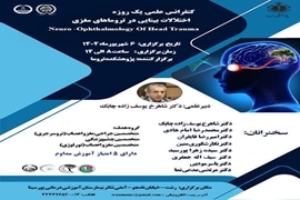 کنفرانس علمی با موضوع اختلالات بینایی در تروماهای مغزی